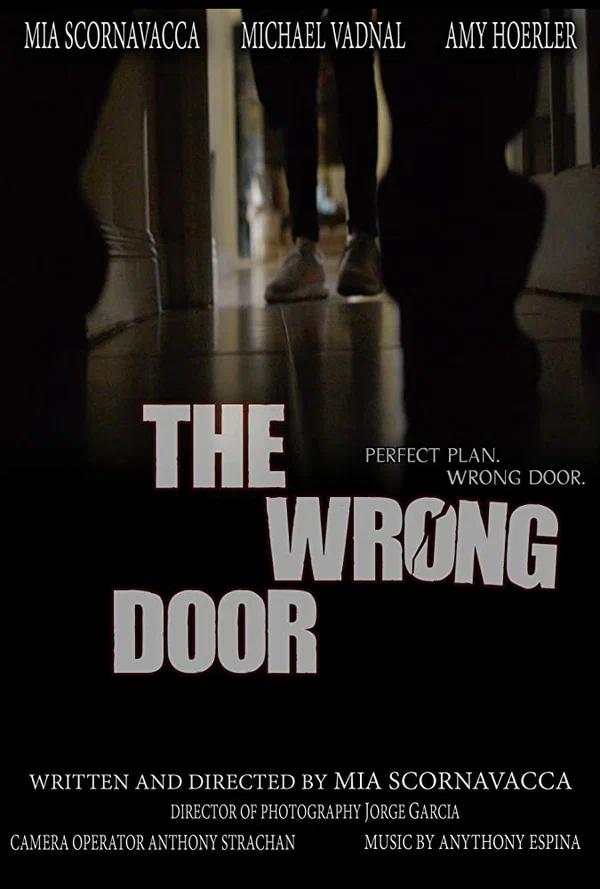 Постер: The Wrong Door