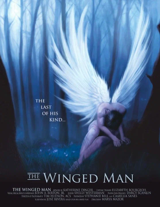 Постер: The Winged Man