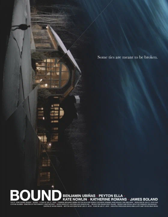 Постер: Bound