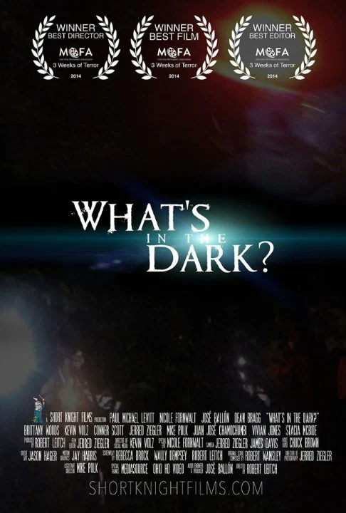 Постер: What's in the Dark?