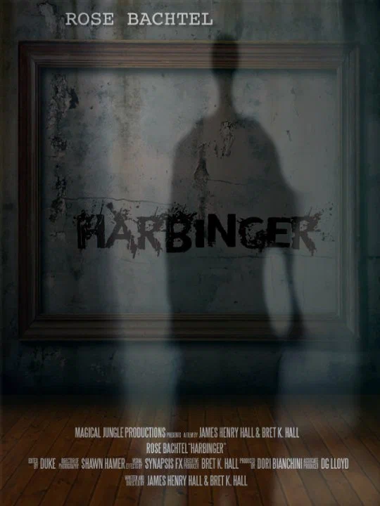 Постер: Harbinger