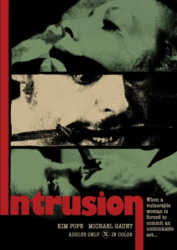 Постер: The Intrusion