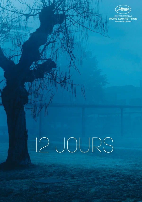 Постер: 12 дней