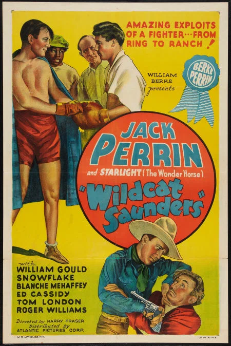 Постер: Wildcat Saunders