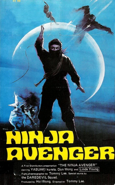 Постер: Fei yan zou bi
