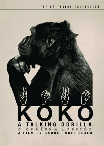 Постер: Коко, говорящая горилла
