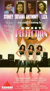 Постер: The Perfect Model