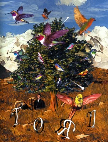 Постер: Тори