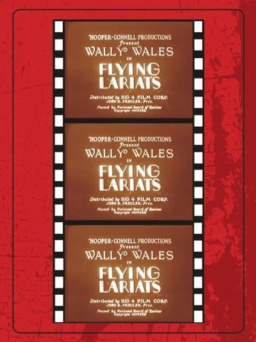 Постер: Flying Lariats