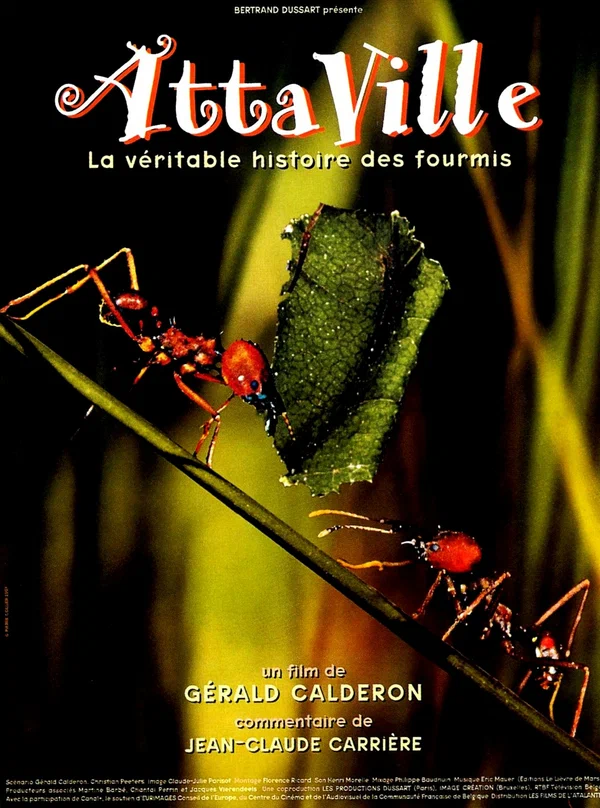 Постер: Attaville, la véritable histoire des fourmis