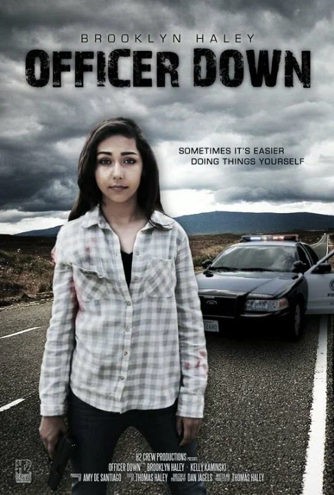 Постер: Officer Down