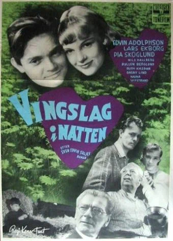 Постер: Vingslag i natten