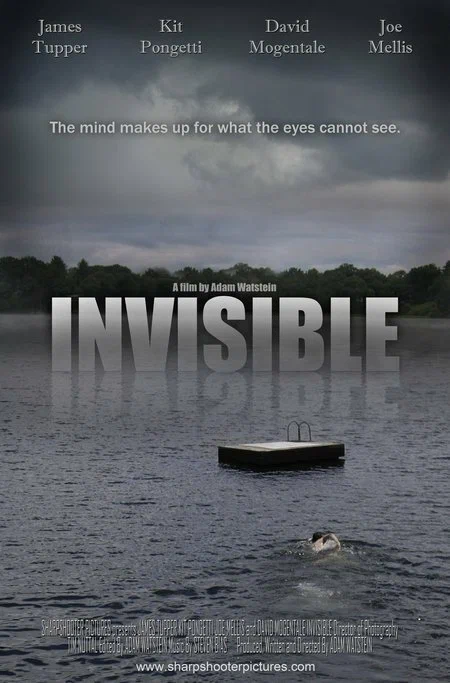 Постер: Invisible