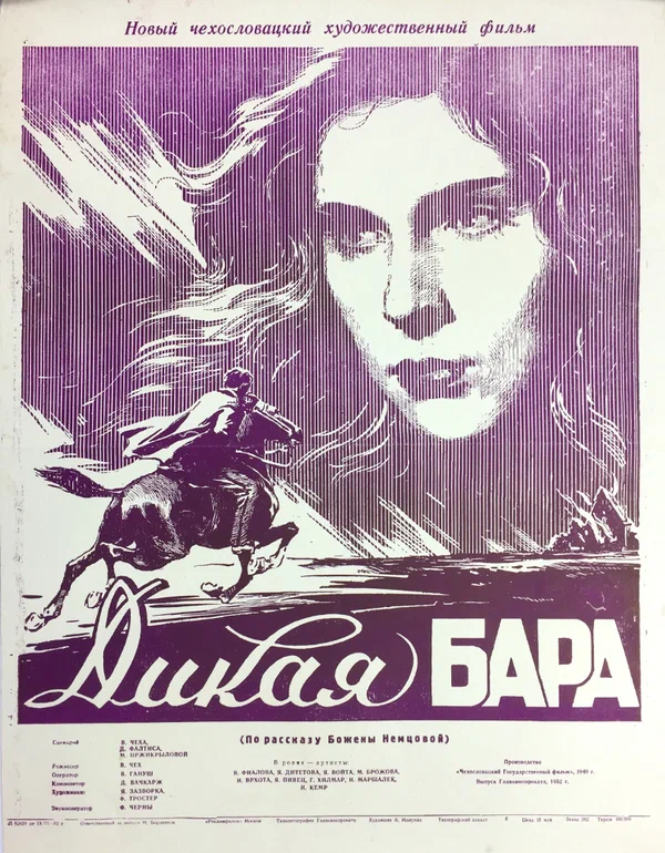 Постер: Дикая Бара
