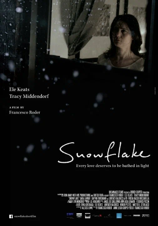 Постер: Snowflake