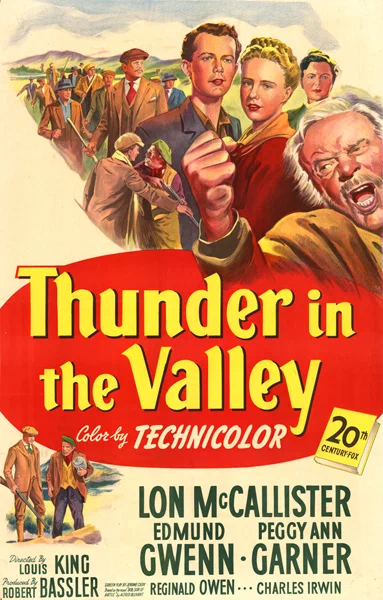 Постер: Thunder in the Valley