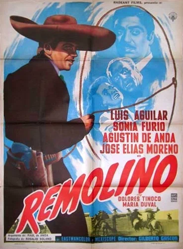 Постер: Remolino