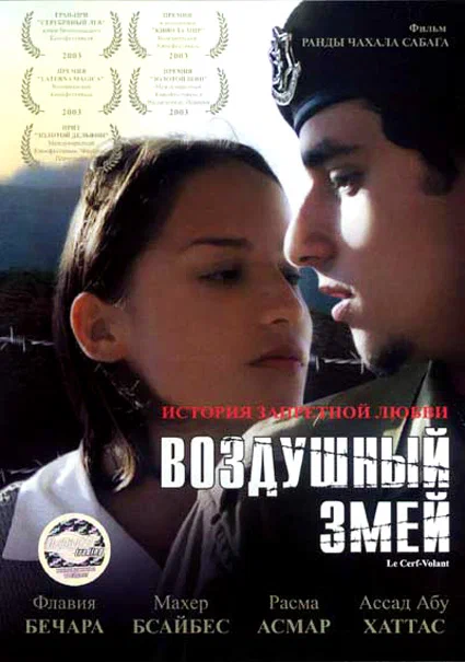 Постер: Воздушный змей