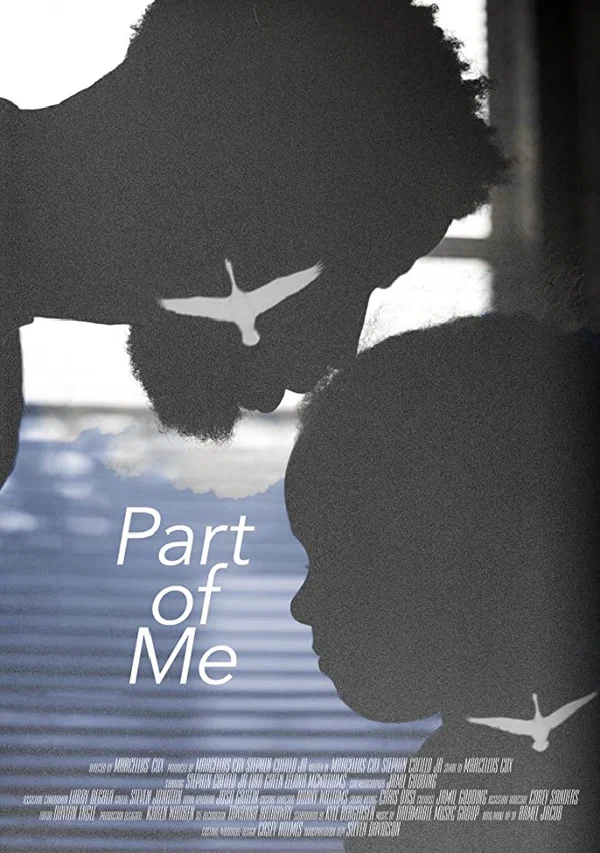 Постер: Part of Me
