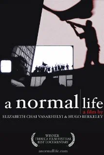 Постер: A Normal Life