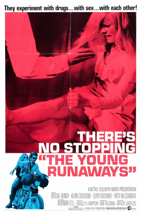 Постер: The Young Runaways
