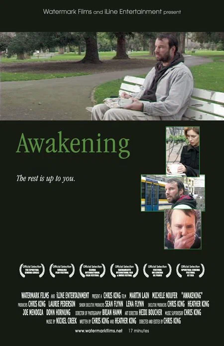 Постер: Awakening
