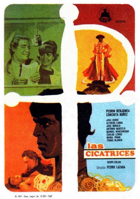 Постер: Las cicatrices