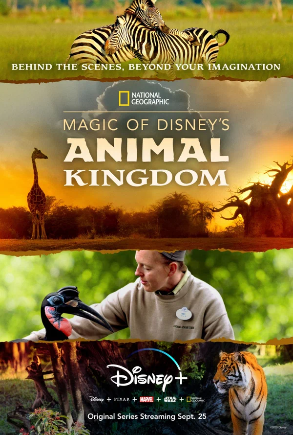 Постер: Magic of Disney's Animal Kingdom