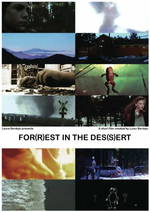 Постер: For(r)est in the Des(s)ert