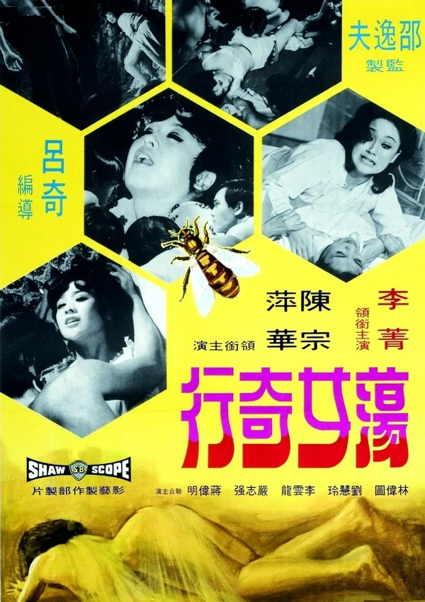 Постер: Dang nu ji hang