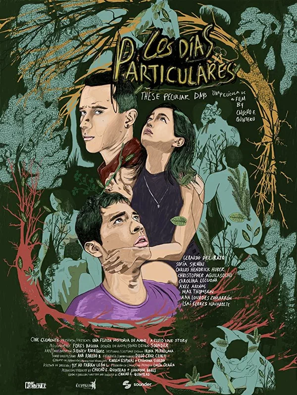 Постер: Los días particulares