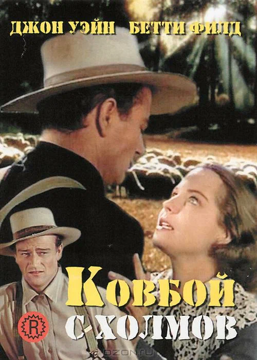Постер: Ковбой с холмов