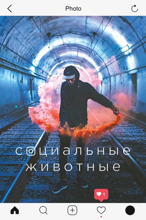 Постер: Социальные животные