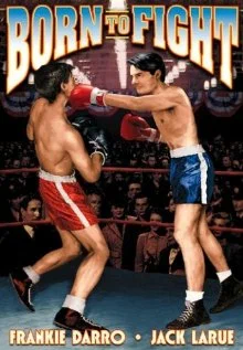 Постер: Born to Fight