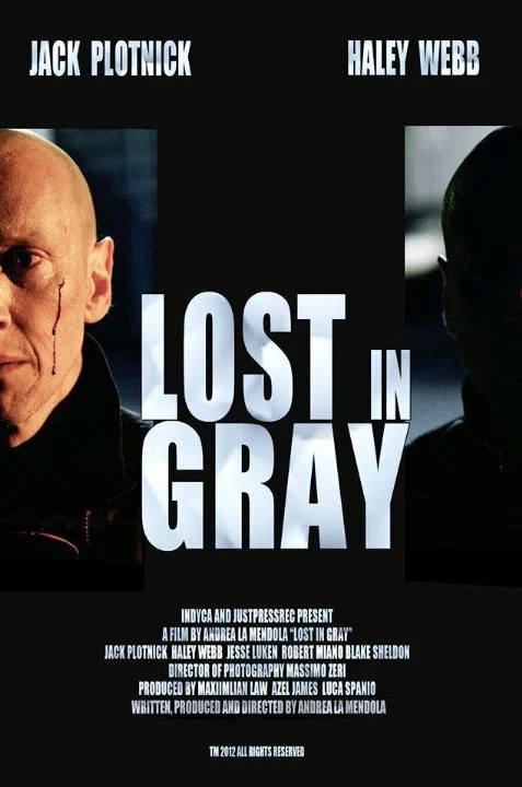 Постер: Lost in Gray