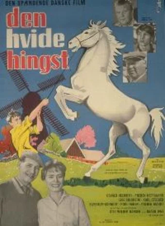 Постер: Den hvide hingst