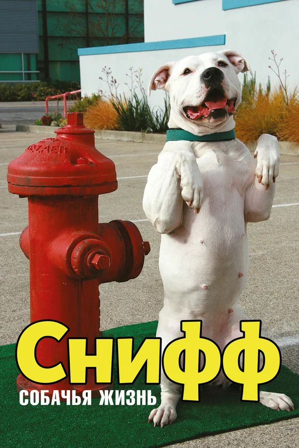 Постер: Снифф: Собачья жизнь