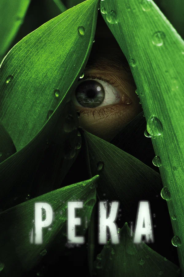 Постер: Река
