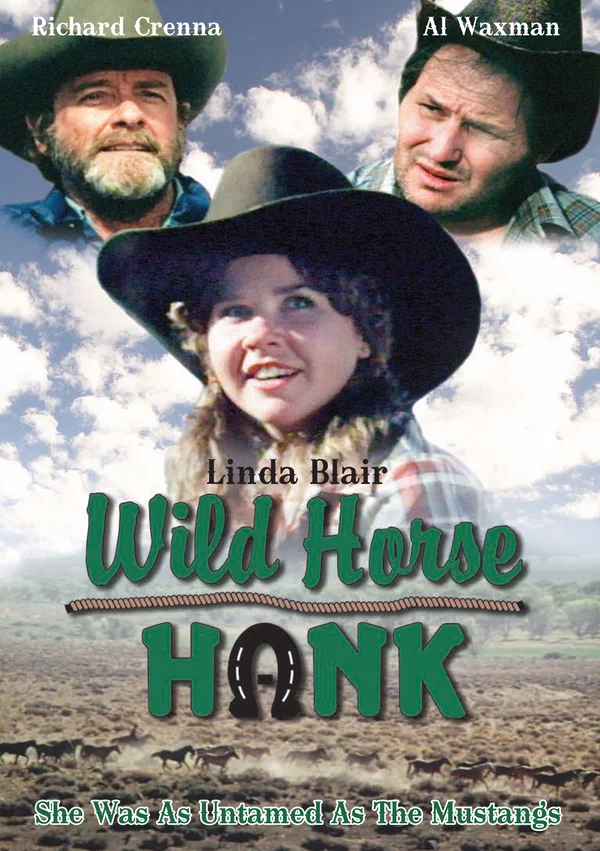 Постер: Wild Horse Hank