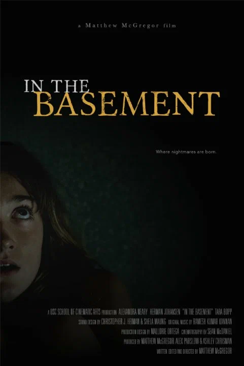 Постер: In the Basement