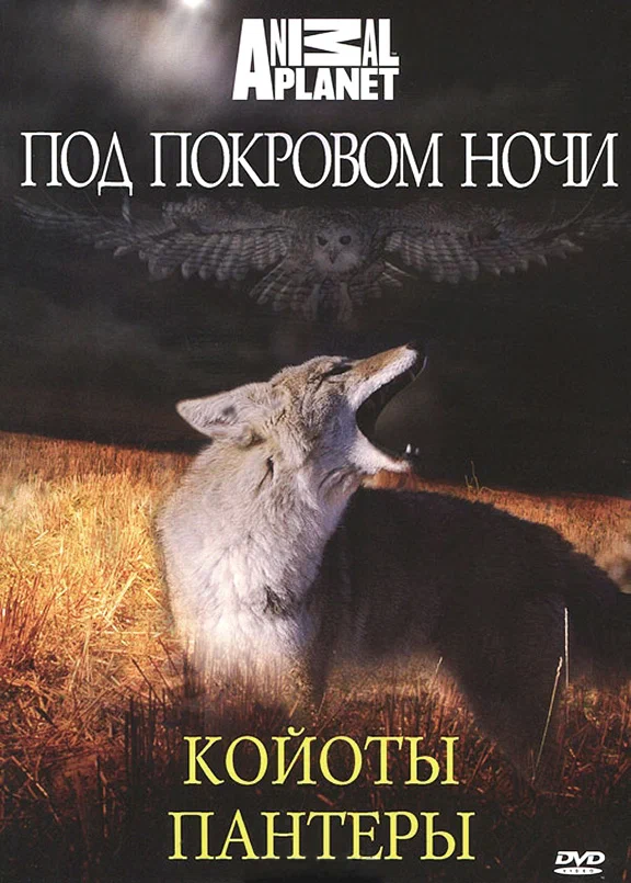 Постер: Под покровом ночи