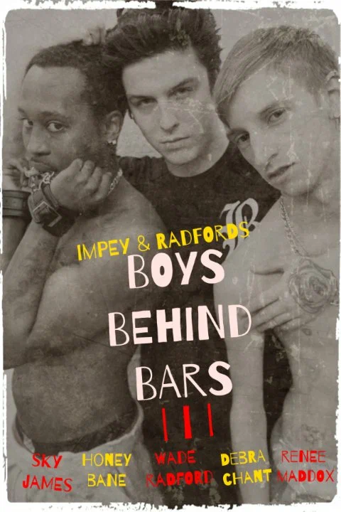 Постер: Boys Behind Bars 3