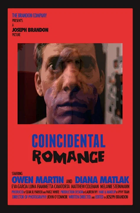 Постер: Coincidental Romance