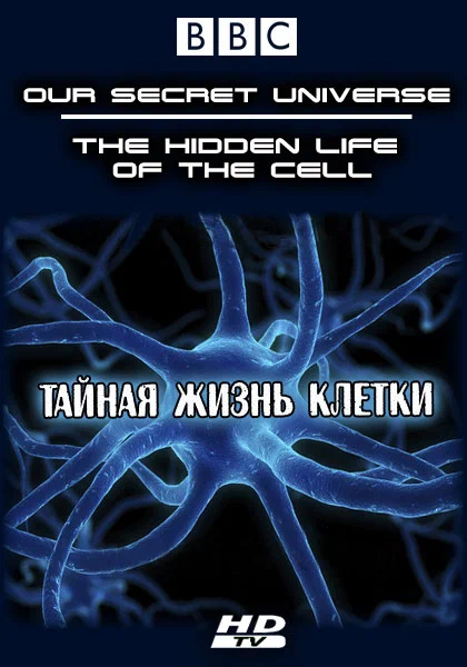 Постер: Внутренняя вселенная: Тайная жизнь клетки
