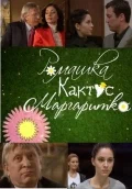Постер: Ромашка, кактус, маргаритка