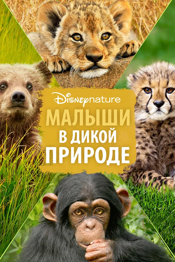 Постер: Малыши в дикой природе