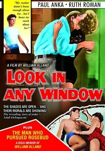 Постер: Look in Any Window