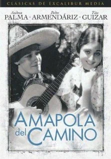 Постер: Amapola del camino