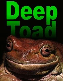 Постер: Deep Toad