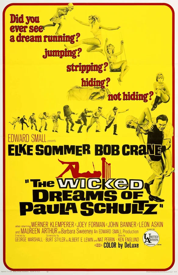 Постер: The Wicked Dreams of Paula Schultz